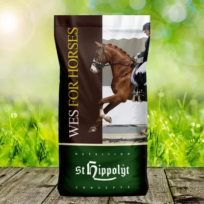 Produktbild von St. Hippolyt WES for Horses - Basic Crunch Pellet 25 kg