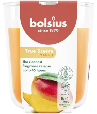 Productafbeelding van Bolsius Geurglas 97/85 True Scents Mango (1 stuk)