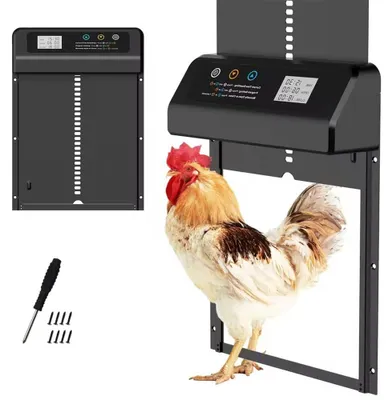 Automatische Hühnerklappe mit Timer & Einklemmschutz