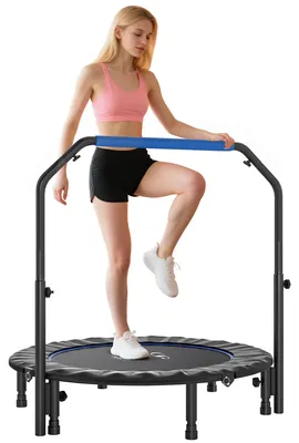 Produktbild von Klapptrampolin ?114 cm mit verstellbarem Griff, Stahlrahmen fš¹r Bein- und K?rpertraining, Blau und Schwarz