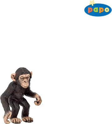 Obrázok produktu pre Šimpanzie mláďa