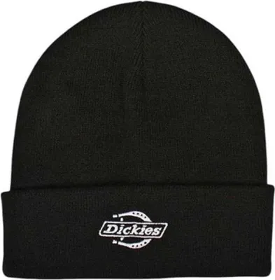Immagine prodotto di Berretto Dickies DK0A87NGBLK1-2FW5 da Unisex