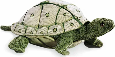 Produktbild von Folkmanis Schildkröte Handpuppe 30 cm