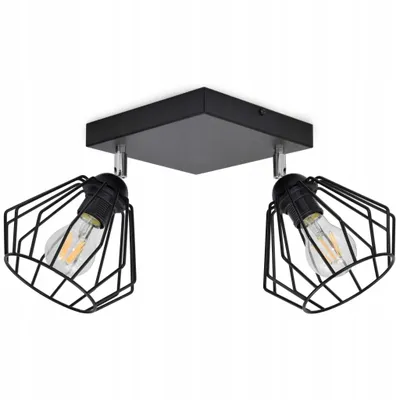 A black, two-light ceiling lamp with wire cage shades in an Edison style.