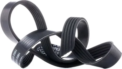 Produktbild von DAYCO Keilrippenriemen 810,0mm für BMW 3 Limousine (E46) 5PK810