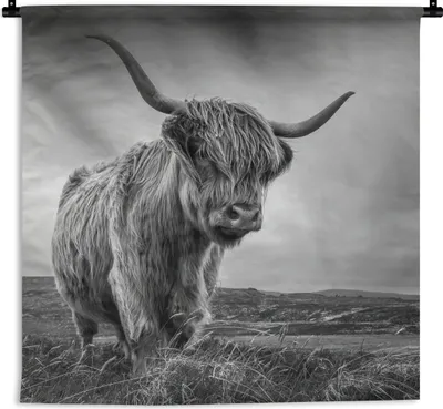 Produktbild von MuchoWow® Wandteppich Wandbehang Kühe - Schottische Hochlandkühe - Natur - Tiere - Schwarz und weiß 60x60 cm Tapisserie Dekoration Wandtuch - Dekorationen - Wand Decke