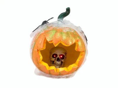 Produktbild von EUROPALMS Halloween Kürbis im Spinnennetz, 25cm