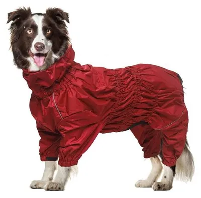 Image de Veste de pluie pour chien, très imperméable - Combinaison réfléchissante à quatre pattes pour chiots