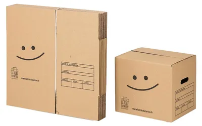 Produktbild von 10er-Pack Bücherkartons mit Tragegriffen