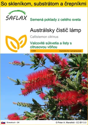 Obrázok produktu pre SAFLAX Kultivačný set - Austrálsky čistič lámp - Callistemon citrinus - 400 Semená - S mini skleníkom, pestovateľským substrátom a 2 črepníkmi