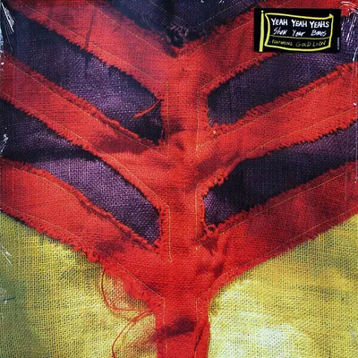 Zdjęcie produktu dla Yeah Yeah Yeahs - Show Your Bone (LP)