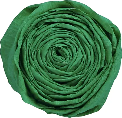 Produktbild von Clairefontaine Krepppapier 250x50 dunkelgrün