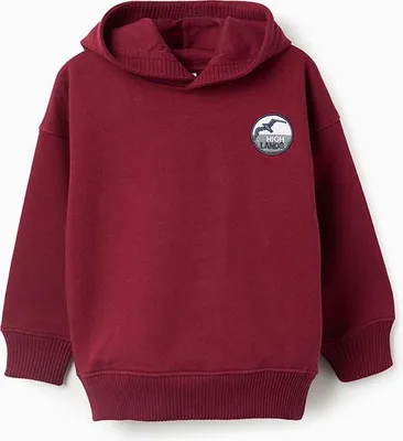 Produktbild von Zippy 3107405901 Sweatshirt 3-4 Years 3-4 Years