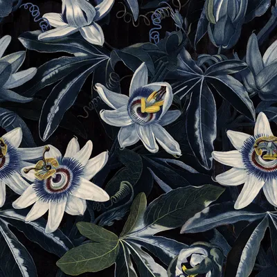 Produktbild von Superfresco Easy Fototapete - Blumenmeer Passionsblume - 280x200cm
