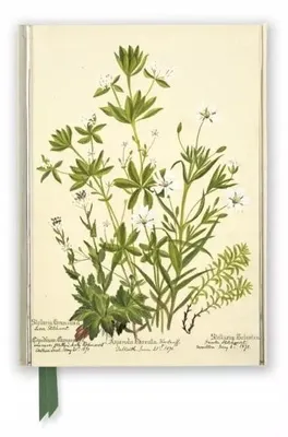 Image de Rbge : Charlotte Cowan Pearson : Stitchworts, Woodruff and Pepperwort (Foiled Journal)