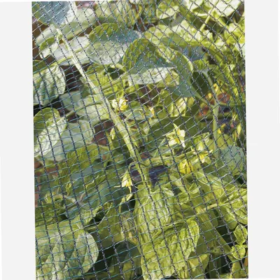 Image de Filet de protection 2x5m