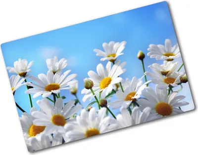 Produktbild von Tulup Glas Herdabdeckplatte - 80x52 cm - Glaskeramikkochfeld-Abdeckung Spritzschutz Glasabdeckplatte - Einteilig - Blumen & Pflanzen - Gänseblümchen - Weiß