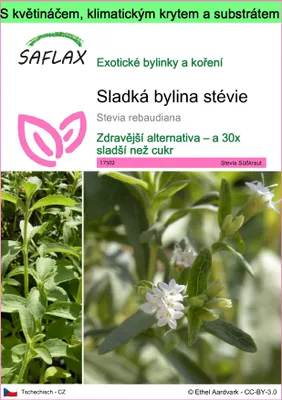 Obrázek produktu pro SAFLAX Garden to go - Sladká bylina stévie - Stevia rebaudiana - 100 Semena - S květináčem, klimatickou poklicí a pěstebním substrátem