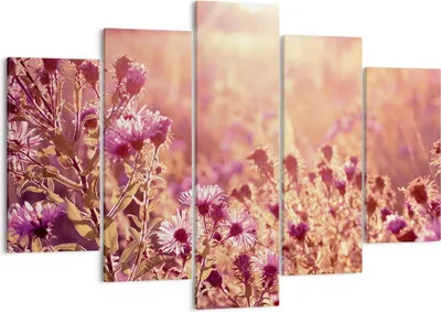Produktbild von Bild auf Leinwand - Leinwandbild - 5 Teile - Wiese Blumen Sonne - 150x100cm - Wand Bild - Wanddeko - Wandbilder - Leinwanddruck - Bilder - Wanddekoration - Leinwand bilder - Wandbild - EA150x100-4819