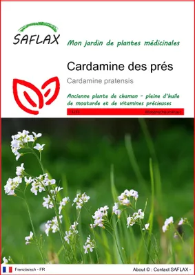 Image de SAFLAX  - Cardamine des prés - 100 graines - Cardamine
