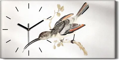 Produktbild von Wanduhr Uhr Wandbild Leinwand Geräuschlos 60x30 Zeichnung Tier Vogel Zweig Kunst - schwarze Hände