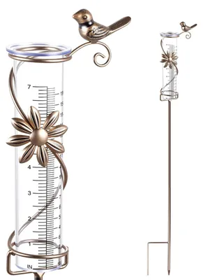 Image de Pluviomètre pour jardin et aménagement paysager, résistant au gel