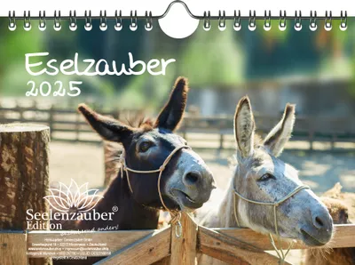 Produktbild von Eselzauber DIN A5 Wandkalender für 2025 Esel - Seelenzauber