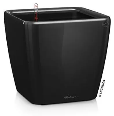 Obrázok produktu pre Kvetináč LECHUZA QUADRO Premium LS 21 čierny vysoký lesk | kvetináč so zavlažovacím systémom | vysoko lesklý povrch | 22,5 x 22,5 x 20,5 cm | 16129