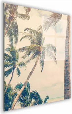 Zdjęcie produktu dla OBRAZ NA SZKLE KWADRATOWY 70x70cm 076 Palmy