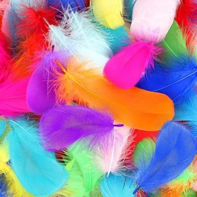 Imagen del producto de Muelles de plástico para proyectos creativos, trabajos de bricolaje, niños y decoración