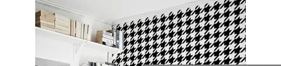 Produktbild von Coloray Fototapete 152x104 cm Latextapete Magicstick - Hounds Zahnhunds.