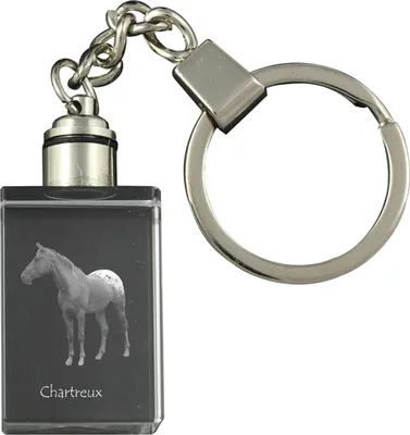Productafbeelding van Akhal-Teke sleutelhanger met kristal en paard Art-Dog