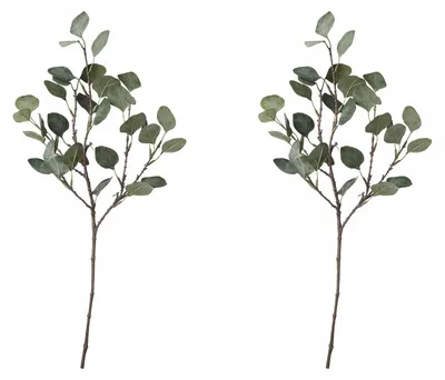 Produktbild von IKEA SMYCKA Künstlicher Eukalyptusblatt 65 cm Dekoration