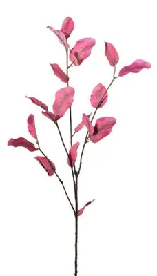 Produktbild von Künstlicher Blattzweig 88cm. Blatt-Zweig mit Herbstblätter in CALUNA