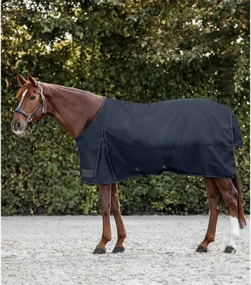 Produktbild von Waldhausen Outdoordecke Nordic 300g- nachtblau, 125