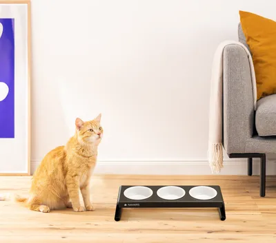 Produktbild von Navaris 3x Fressnapf aus Keramik mit Metall Ständer - Katzennapf Hundenapf 3 Stück im Set - Erhöhter Futternapf Katze Hund - Napf in Weiß Ständer in