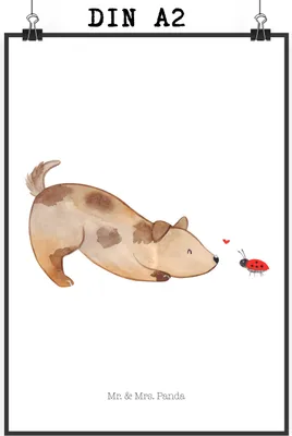 Produktbild von Mr. & Mrs. Panda Bild Hund Marienkäfer DIN A2 - Weiß - Geschenk, Wandbild, Mischlingshund, Sprüche, Kunstdruck, drucke, Hunde, Plakat, Neugierig, Mischlinghund