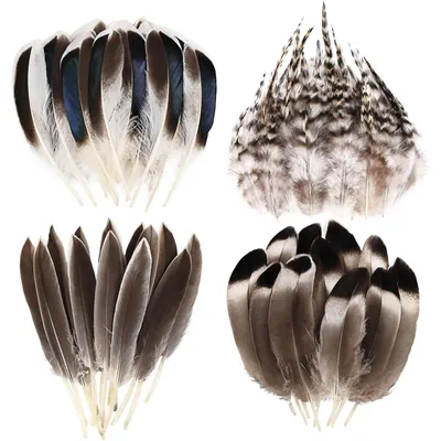 Image de 120 plumes naturelles, petit lot de gros pour travaux manuels et créations