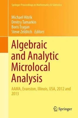 Zdjęcie produktu dla Algebraic and Analytic Microlocal Analysis