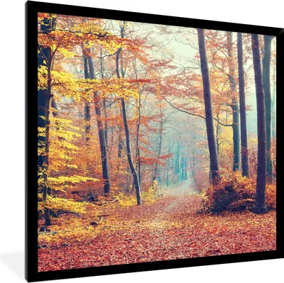 Produktbild von MuchoWow® Gerahmtes Poster Wald - Herbst - Laub 40x40 cm - Poster mit Schwarzem Bilderrahmen Wandposter Rahmen Foto Bilder - Mit Rahmen - Wanddekoration Schlafzimmer