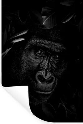 Produktbild von MuchoWow® Wandtattoo Wandsticker Wandaufkleber Botanischer Affe vor dunklem Hintergrund - schwarz und weiß 60x90 cm Selbstklebend und Repositionierbar - Sticker - Dekorfolie