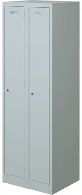 Produktbild von BISLEY Spind lichtgrau PL3050D1645, 2 Schließfächer 60,0 x 50,0 x 180,0 cm