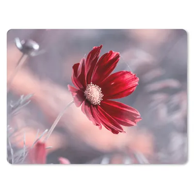 Produktbild von MuchoWow® Mauspad Mousepad Blumen - Rot - Natur - Pflanzen 23x19 cm - Mousepads - Maus Mat - Pad - Mausunterlage - Schreibtischunterlage - Mauspad