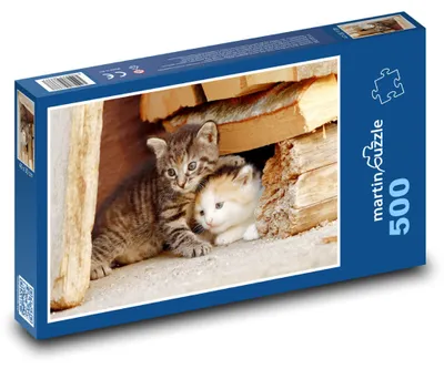 Zdjęcie produktu dla martinpuzzle - Puzzle 500 - Małe kociątko - kotek, zwierzątko
