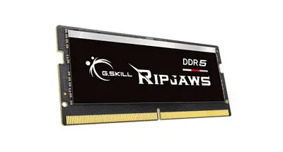 Image de G.Skill Ripjaws - DDR5 - Kit - 32Go : 2 x 16Go - SO DIMM 262-PIN - 4800 MHz / PC5-38400 - CL34 - 1.1 V (F5-4800S343434A16GX2-RS)