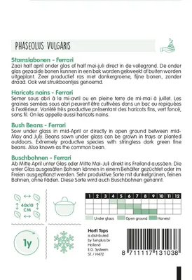 Produktbild von Buschbohnen Ferrari | Buschbohnensamen von Hortitops