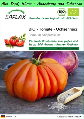 Produktbild von SAFLAX Garden to go - BIO - Tomate - Ochsenherz - Solanum lycopersicum - 10 Samen - Mit Topf, Klima - Deckel und Anzuchtsubstrat