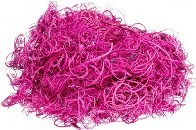 Produktbild von Curly Moos fuchsia 50g