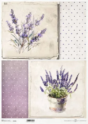 Zdjęcie produktu dla Papier ryżowy do decoupage A3 ITD-1080L lawenda kropki