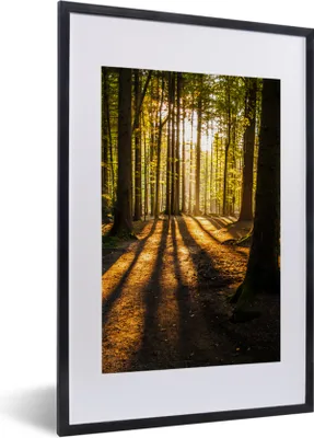 Produktbild von MuchoWow® Gerahmtes Poster Sonne - Bäume - Wald - Landschaft - Natur 40x60 cm - Poster mit Schwarzem Bilderrahmen Wandposter Rahmen Foto Bilder - Poster in Rahmen